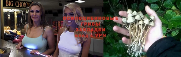 apvp Остров