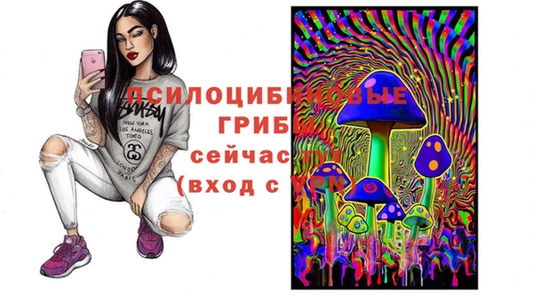 таблы Осинники