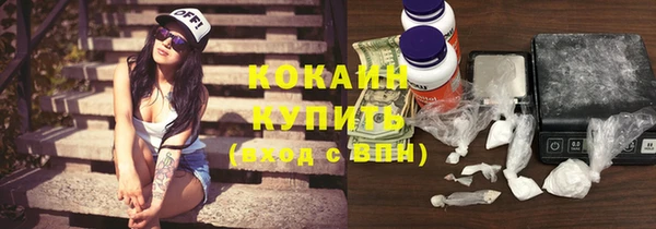 таблы Осинники