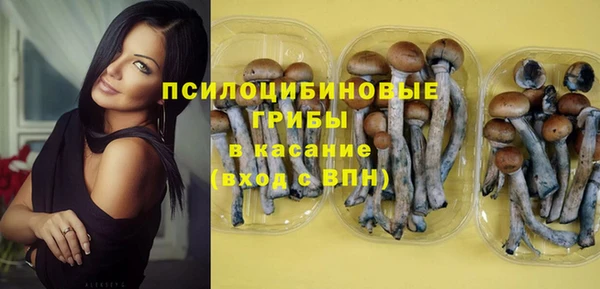 таблы Осинники