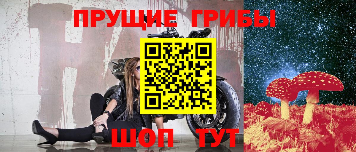 Северск  Галлюциногенные грибы MAGIC MUSHROOMS  Вход с VPN 