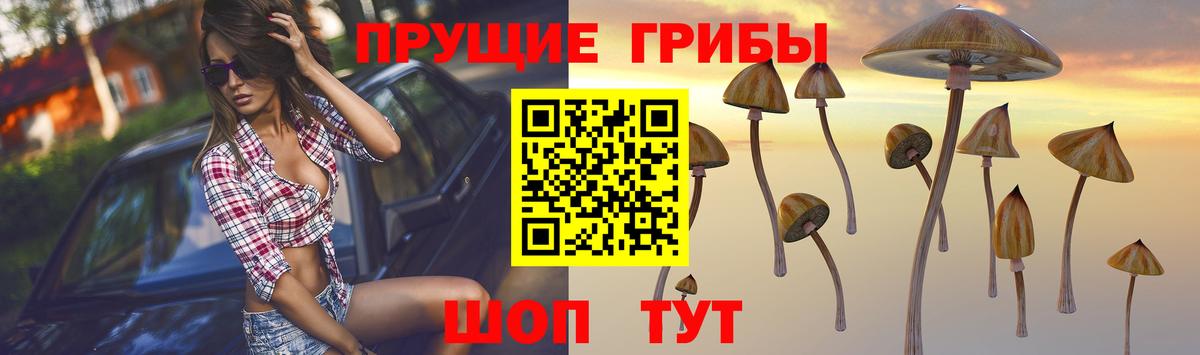 Галлюциногенные грибы ЛСД Северск