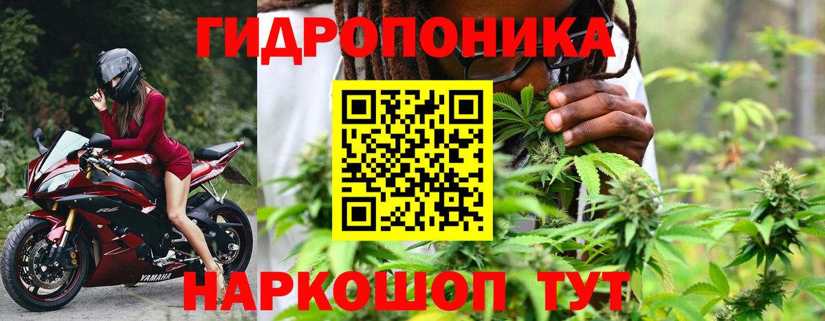 Бошки марихуана White Widow  Вход с VPN  Северск  МАРИХУАНА ГИДРОПОН 